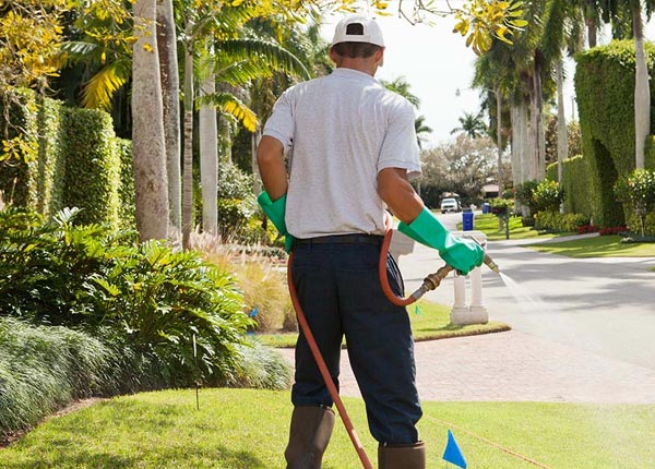 About Mayfield MI Pest Control
